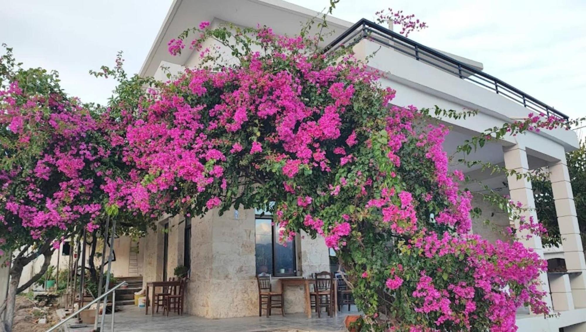Glikanisos House Nipos - Ideal For Hikers And Families 2Bd, 6Pl 10Min To Beach Dış mekan fotoğraf